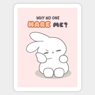 Funny bunny puns, Why no one Hare me? Sticker